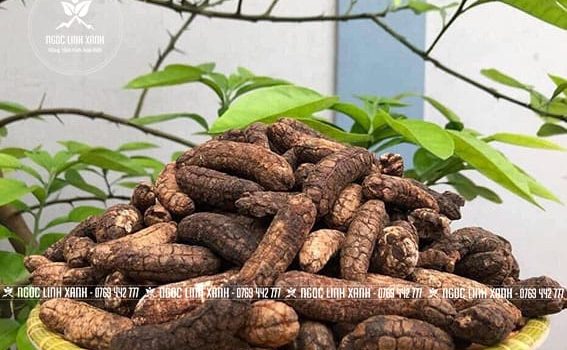 Uống Rượu Ngâm Chuối Hột Có Tác Dụng Gì?