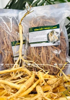 Sâm dây Ngọc Linh khô được sơ chế và làm khô, đóng gói tiện bảo quản và sử dụng