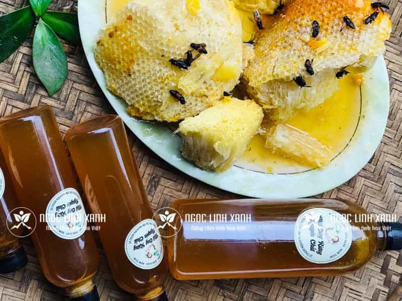 Cách cho trẻ uống mật ong an toàn hiệu quả ngoclinhxanh