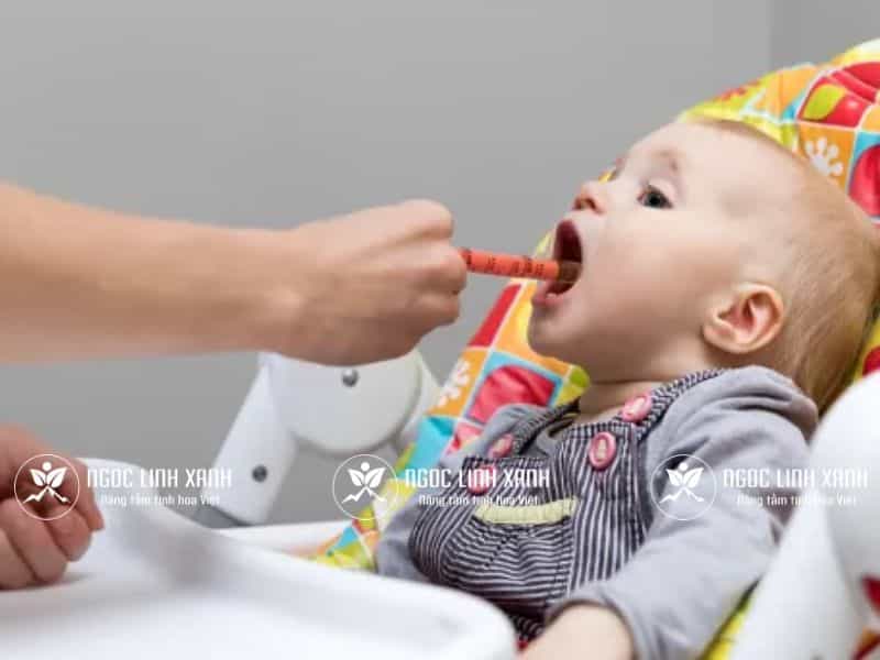 Cách cho trẻ uống mật ong an toàn, hiệu quả Một số lưu ý cho trẻ uống mật ong an toàn hiệu quả ngoclinhxanh