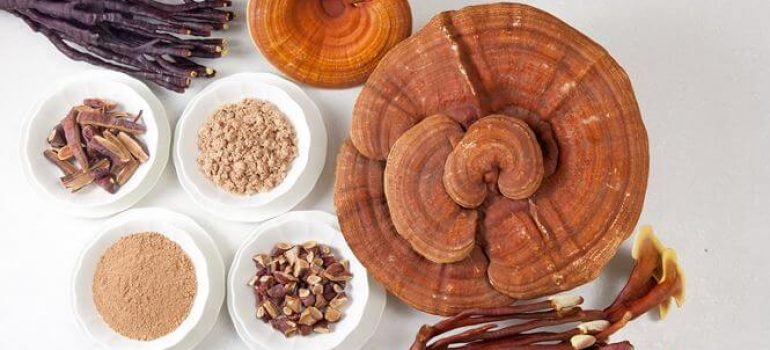 NHỮNG NGƯỜI NÀO KHÔNG ĐƯỢC DÙNG ‘THẦN DƯỢC’ NẤM LINH CHI?
