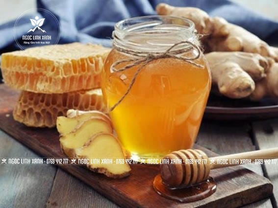 Công Dụng Của Mật Ong Rừng Mật ong rừng chứa nhiều dưỡng chất cần thiết cho cơ thể