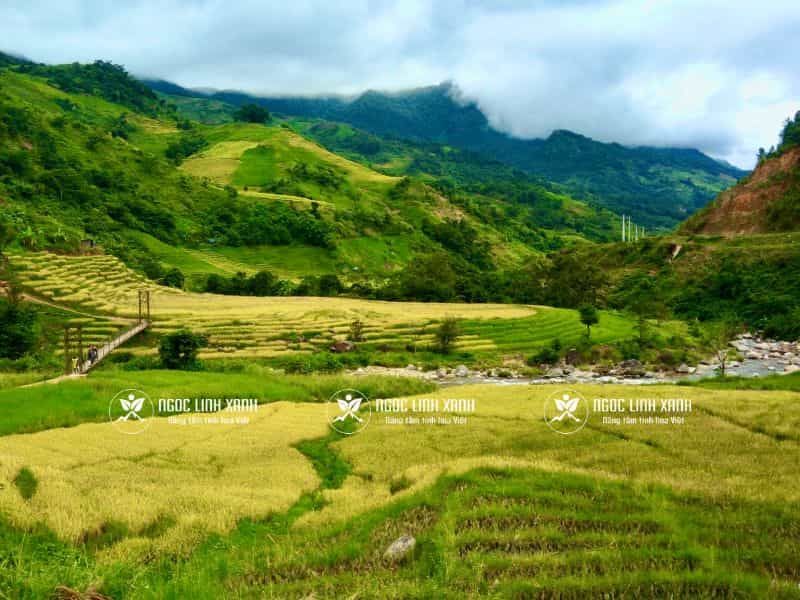 Vùng núi Ngọc Linh - Kon Tum